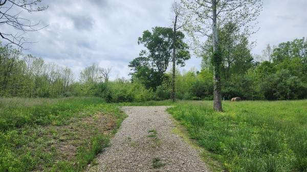 Tract 5 - Albany Woods property photo