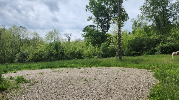 Tract 5 - Albany Woods property photo