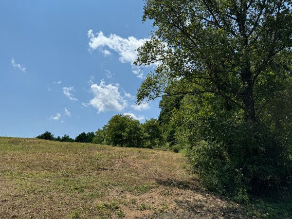 Albany Escape at Albany Woods property photo