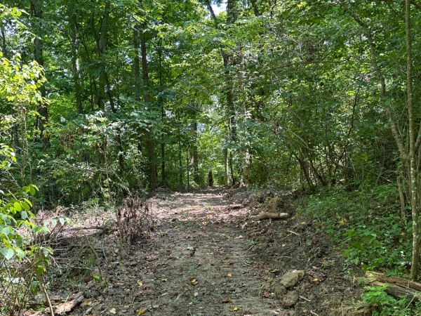 Albany Escape at Albany Woods property photo