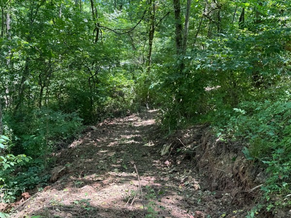 Albany Escape at Albany Woods property photo
