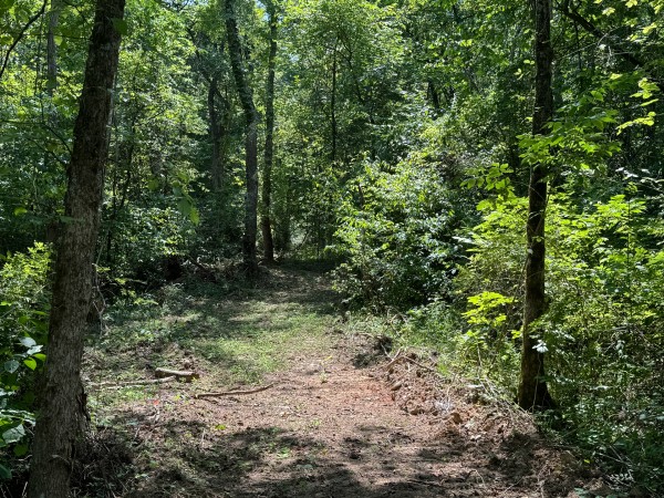 Albany Escape at Albany Woods property photo