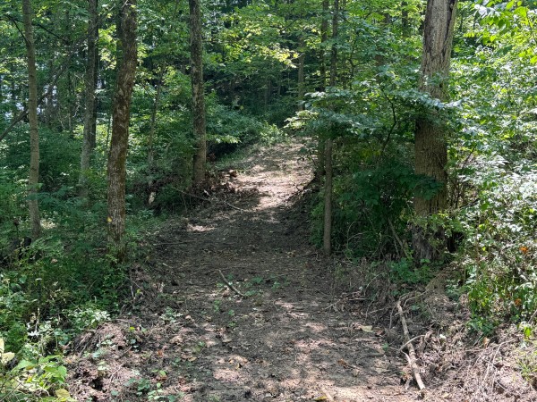 Albany Escape at Albany Woods property photo