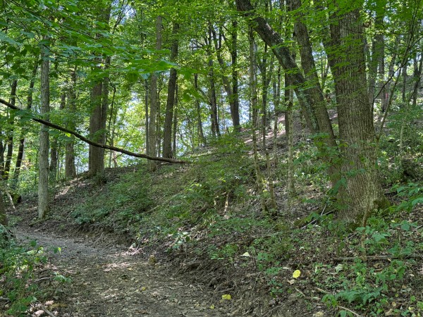 Albany Escape at Albany Woods property photo