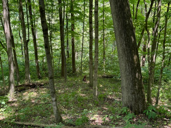 Albany Escape at Albany Woods property photo