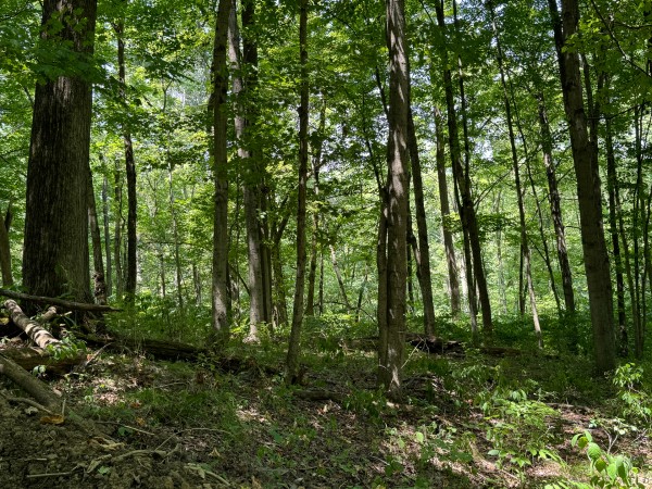 Albany Escape at Albany Woods property photo