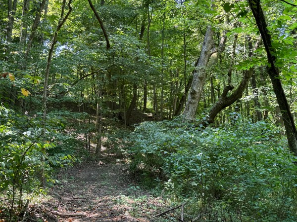 Albany Escape at Albany Woods property photo
