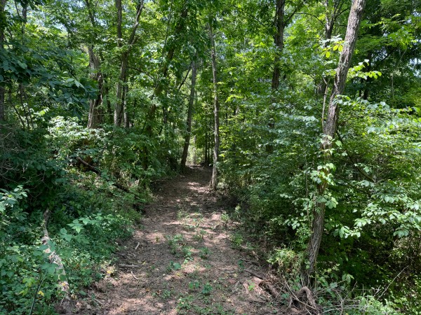 Albany Escape at Albany Woods property photo