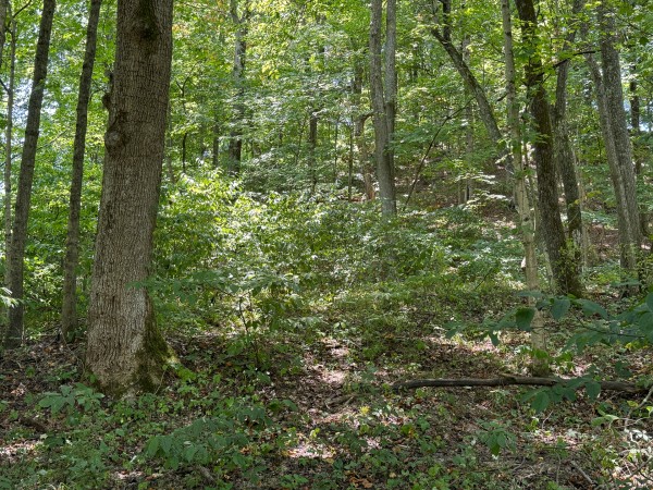 Albany Escape at Albany Woods property photo
