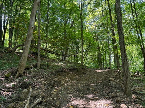 More of Albany Escape at Albany Woods