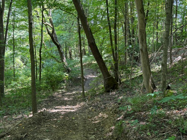 More of Albany Escape at Albany Woods