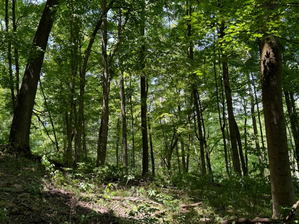 Albany Escape at Albany Woods property photo