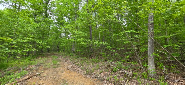 Big Timber Ridge - Phase II Tract 1 property photo