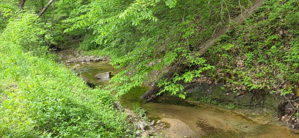 Big Timber Ridge - Phase II Tract 1 property photo