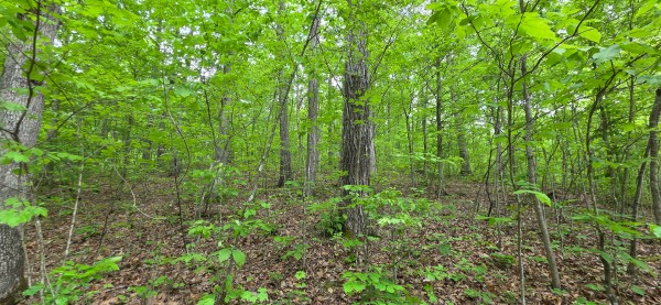Big Timber Ridge - Phase II Tract 1 property photo