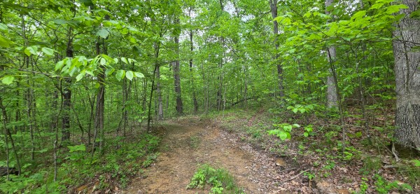 Big Timber Ridge - Phase II Tract 1 property photo
