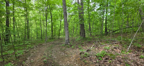 Big Timber Ridge - Phase II Tract 1 property photo