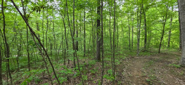 Big Timber Ridge - Phase II Tract 1 property photo