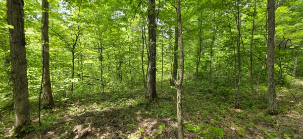 Big Timber Ridge - Phase II Tract 1 property photo