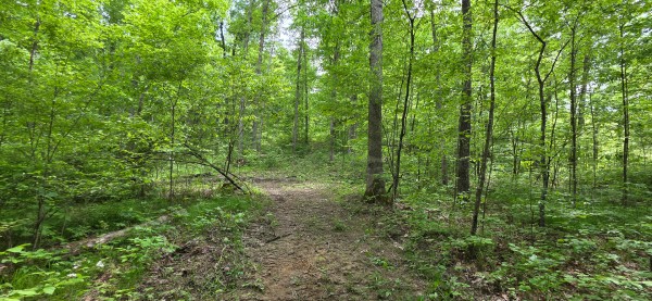 Big Timber Ridge - Phase II Tract 1 property photo