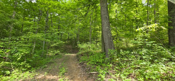 Big Timber Ridge - Phase II Tract 1 property photo