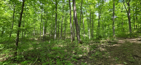 Big Timber Ridge - Phase II Tract 1 property photo