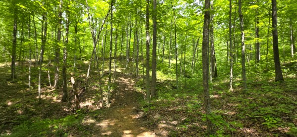 Big Timber Ridge - Phase II Tract 1 property photo