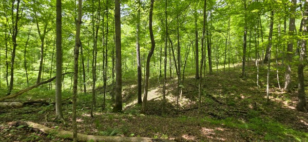 Big Timber Ridge - Phase II Tract 1 property photo