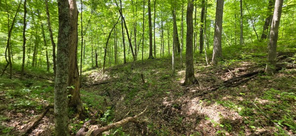 Big Timber Ridge - Phase II Tract 1 property photo