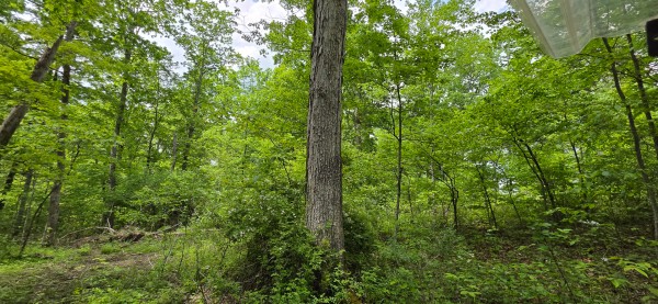 Big Timber Ridge - Phase II Tract 1 property photo