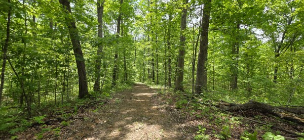 Big Timber Ridge - Phase II Tract 1 property photo