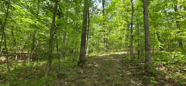 Big Timber Ridge - Phase II Tract 1 property photo