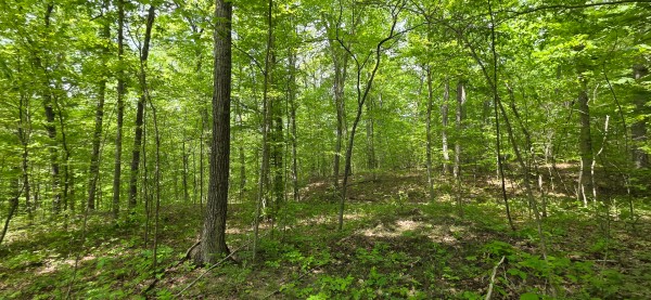 Big Timber Ridge - Phase II Tract 1 property photo