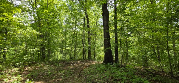 Big Timber Ridge - Phase II Tract 1 property photo