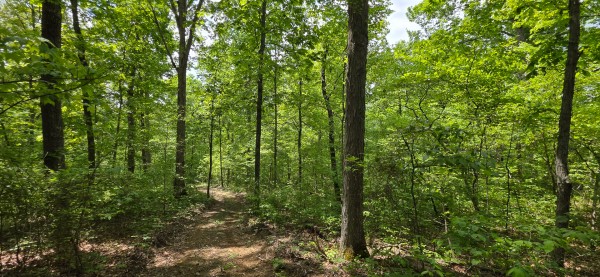 Big Timber Ridge - Phase II Tract 1 property photo