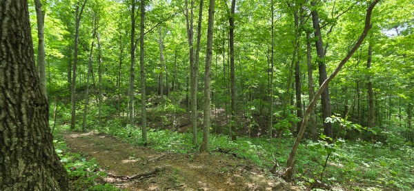 Big Timber Ridge - Phase II Tract 1 property photo