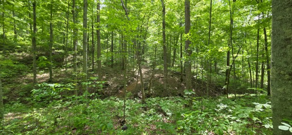 Big Timber Ridge - Phase II Tract 1 property photo