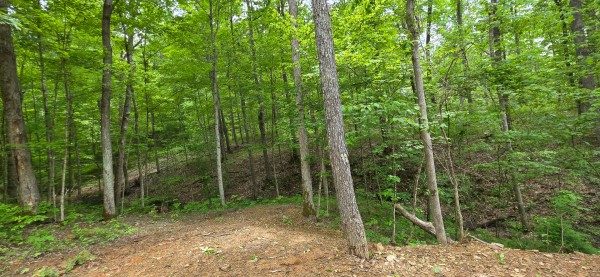 Big Timber Ridge - Phase II Tract 1 property photo