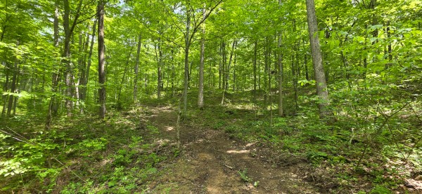 More of Big Timber Ridge - Phase II Tract 1