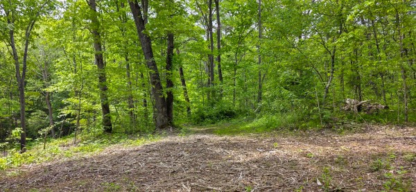 Big Timber Ridge - Phase II Tract 1 property photo