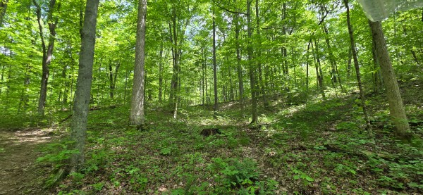 More of Big Timber Ridge - Phase II Tract 1