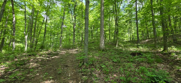 More of Big Timber Ridge - Phase II Tract 1