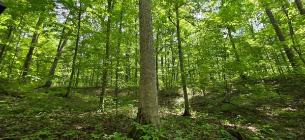 Big Timber Ridge - Phase II Tract 1 property photo