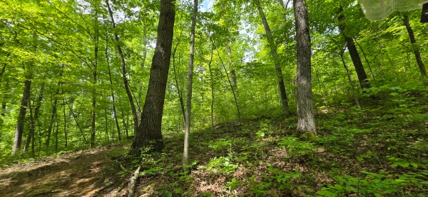 Big Timber Ridge - Phase II Tract 1 property photo