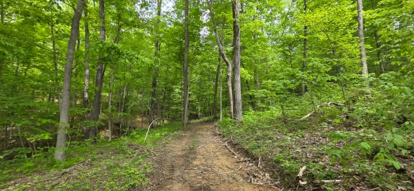 Big Timber Ridge - Phase II Tract 2 property photo