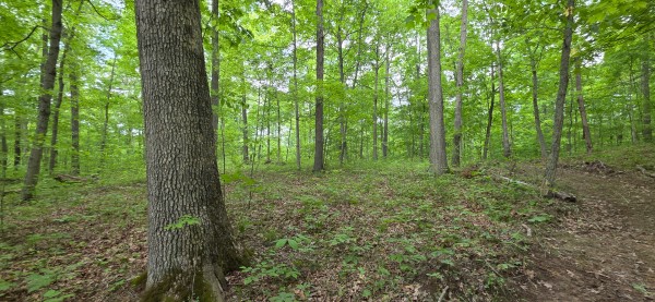 Big Timber Ridge - Phase II Tract 2 property photo