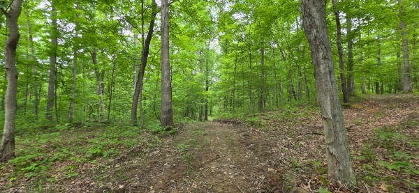 Big Timber Ridge - Phase II Tract 2 property photo