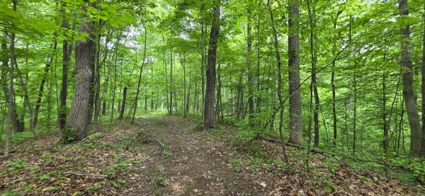 Big Timber Ridge - Phase II Tract 2 property photo