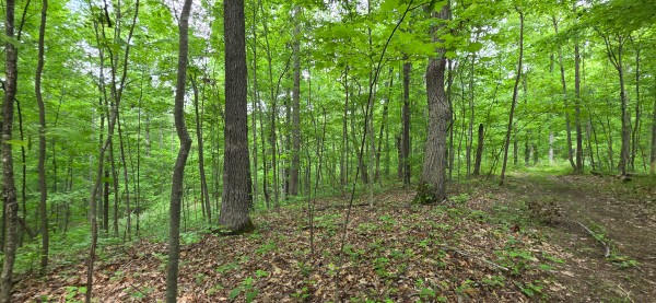Big Timber Ridge - Phase II Tract 2 property photo