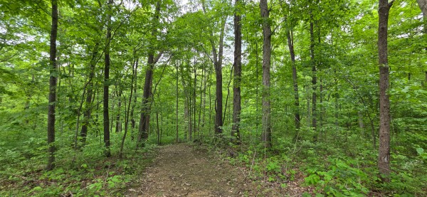 Big Timber Ridge - Phase II Tract 2 property photo